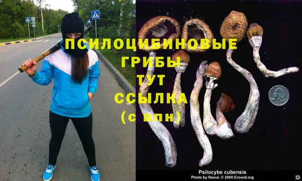 стаф Алексеевка