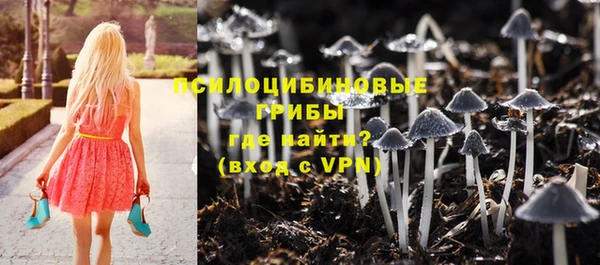 стаф Алексеевка