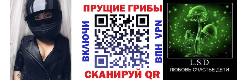 Галлюциногенные грибы мицелий  сколько стоит  Ардатов 